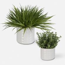 Uttermost 60211 - Uttermost Edgewood Greenery Set/2